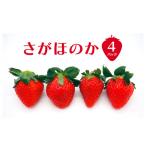 いちご さがほのか フルーツ デザート