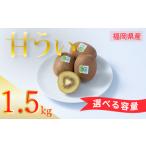 福岡 ブランドキウイ 甘うぃ あまうぃ 約1.5kg箱