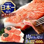 牛肉ステーキ ランプ ステーキ 約600g