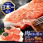 牛肉ステーキ サーロイン ステーキ500g 250g×2枚