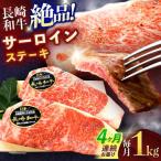 牛肉ステーキ サーロイン ステーキ 約400g