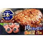 ハンバーグ 5個
