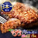 ハンバーグ 5個