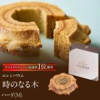エレンバウム 時のなる木 ハード M SWAL009