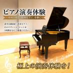 体験チケット 3時間ピアノ演奏体験 ~大ホールで