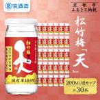 松竹梅 天 200ML壜カップ×30本
