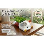 おえかきにゃんこの水耕栽培キット