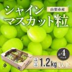 ふるさと納税 【先行受付2026年発送】 シャインマスカット 粒 約1.2kg 【訳あり】ぶどう 粒カット【配送不可地域：離島・沖縄県】【1568100】 山梨県山梨市