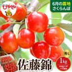 2027年産 さくらんぼ 佐藤錦 秀L 1kg