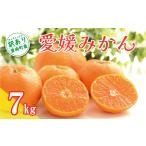 訳あり 愛媛みかん 7kg