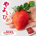 いちご やよいひめDX 800g