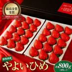 いちご やよいひめ 約800g