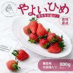 いちご 大粒完熟いちご やよいひめ 800g