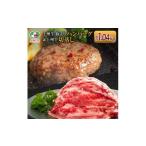ふるさと納税 ハンバーグ(上州牛・上州麦豚入り)4個+上州牛切り落とし(500g) 群馬県前橋市