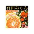 極早生有田みかん10kg+250g 傷み補償分