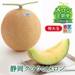 クラウンメロン 白等級 特大玉 1玉