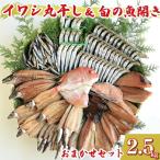魚 丸干し 開き セット 2.5kg