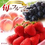 \フルーツ大国和歌山からお届け 旬のフルーツ