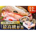 どんちっち浜田 鮮魚~最高級この男シリーズ~