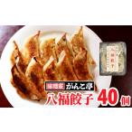ふるさと納税 旨味ぎっしり!手作り 八福 餃子 40個(20個×2P)たれ付!岩手県 北上市 (がんこ亭)D0368 岩手県北上市