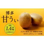 fu.... налог Fukuoka префектура производство Hakata ... примерно 1.4kg( большой шар 9 шар ввод )[2026 год 10 месяц последняя декада ~11 месяц последняя декада отправка предположительно ] киви киви фрукты фрукты фрукты ..... Fukuoka префектура Kitakyushu город 