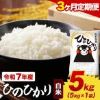 令和7年産 白米 森のくまさん 5kg