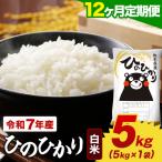 令和7年産 白米 森のくまさん 5kg