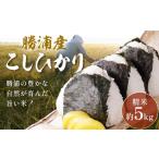 令和8年産 勝浦産 コシヒカリ 白米 5kg