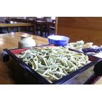 丹沢茶うどん 200g