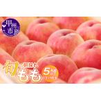 ふるさと納税 桃 旬の朝採れ特選大玉桃 5.0kg以上（13〜16玉）【2026年発送】（HO）C5-411 フルーツ 山梨県甲州市