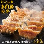 2773 かごしま夢幻豚餃子 12個×5P