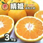訳あり 晴姫 はれひめ 3kg