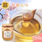 純粋蜂蜜 早春みつ 750g
