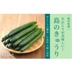 fu.... налог огурец примерно 3kg [2026 год 9 месяц после отправка ] Hiroshima префектура большой мыс сверху остров блок 