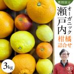 オーガニック フルーツ 詰め合わせ 3kg