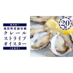 ふるさと納税 濃厚 牡蠣 20個 ( 約25?40g/1個 ) 塩田熟成縞牡蠣 クレールストライプオイスター ( 11〜5月出荷 ) 生食可 NHK うまいッ!で.. 広島県大崎上島町