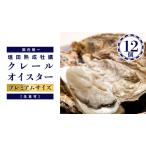 ふるさと納税 濃厚 大粒 牡蠣 12個 (約100g〜140g/1個) 塩田熟成牡蠣 クレールオイスター ( 11〜5月出荷 ) プレミアムサイズ 生食可 NHK う.. 広島県大崎上島町