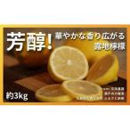 芳醇 文田農園のレモン 約3kg