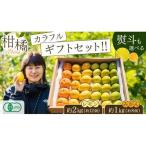 島の宝石箱 瀬戸内 旬の柑橘カラフル セット