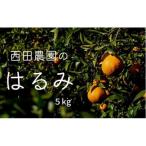瀬戸内 はるみ 約5kg