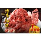 ふるさと納税 博多和牛 焼肉 切落し ミックス 500g×2パック 計約1kg 肉 牛肉 お肉 モモ ウデ バラ 切り落とし 福岡県遠賀町