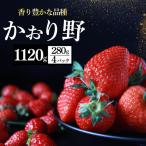 いちご かおり野 4パック×280g