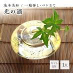 光の滴 F6L-445