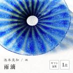 皿 雨滴 F6L-517