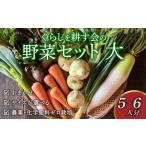 丸山農園の野菜セット 大セット 5~6人用