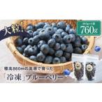 fu.... налог .. ферма. север часть высокий втулка голубика [ рефрижератор плоды ]380g×2 пакет | местного производства голубика LJ004VC13 Gifu префектура высота гора город 