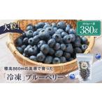 fu.... налог север часть высокий втулка голубика [ рефрижератор ]380g×1 пакет LJ005VC13l голубика Gifu префектура высота гора город 