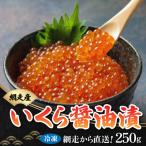 冷凍 秋鮭 いくら 醤油漬 250g