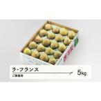 ふるさと納税 ラ・フランス ご家庭用 約5kg(8~20個程度) 洋梨 山形県産 tf-lamxx5 山形県山辺町