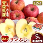 りんご サンふじ 約5kg